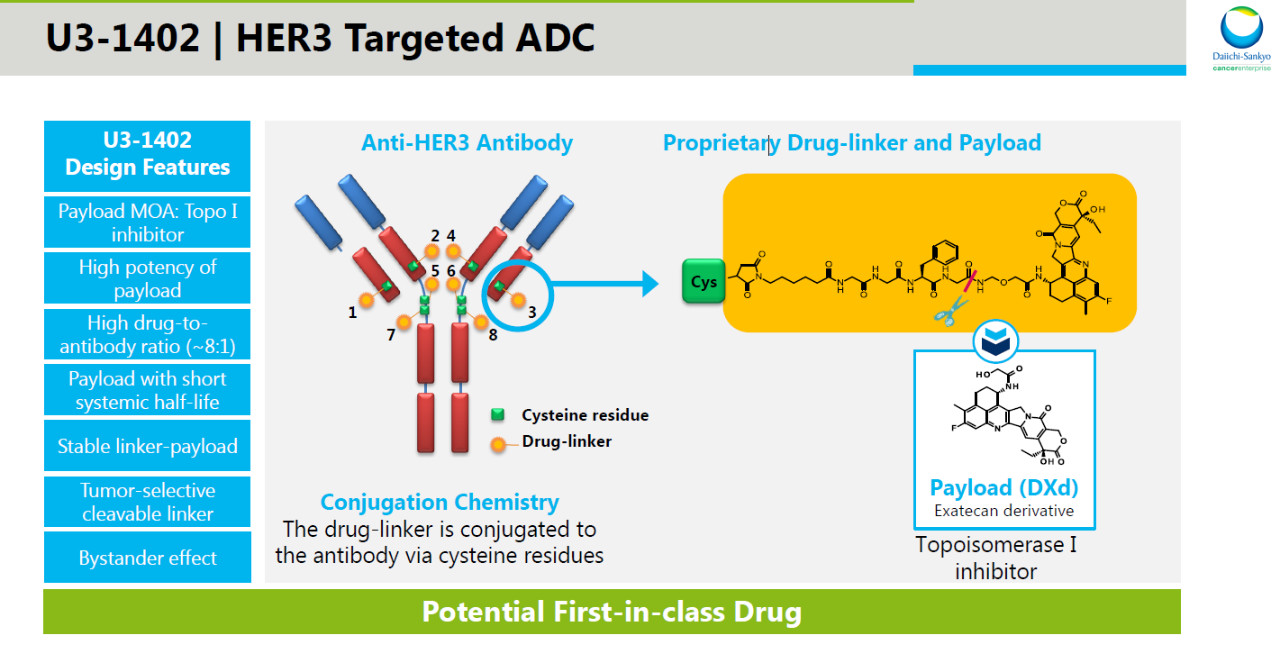 克服EGFR突变非小细胞肺癌耐药性第一三共HER3靶向ADC临床结果积极研究 